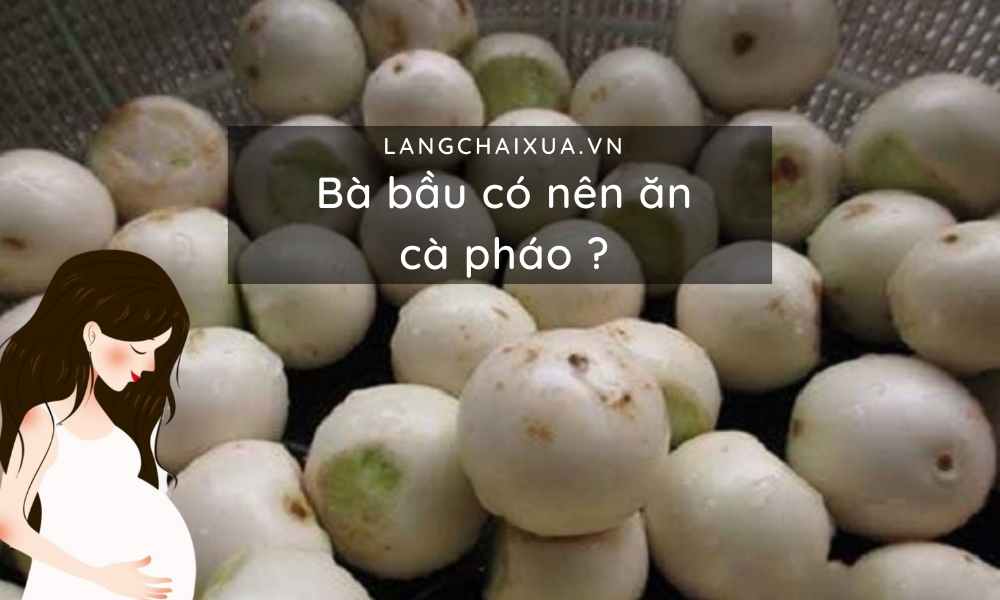 ba bau co nen an ca phao cong dung va tac hai cua ca phao 6