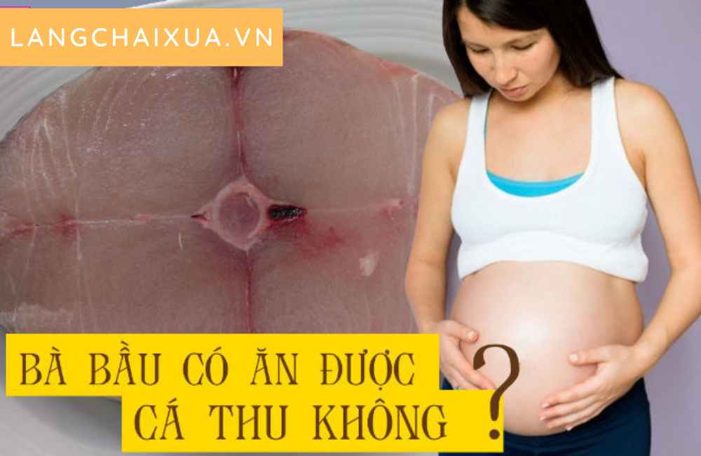 ba bau co nen an ca thu khong loai ca nen an va can tranh 3