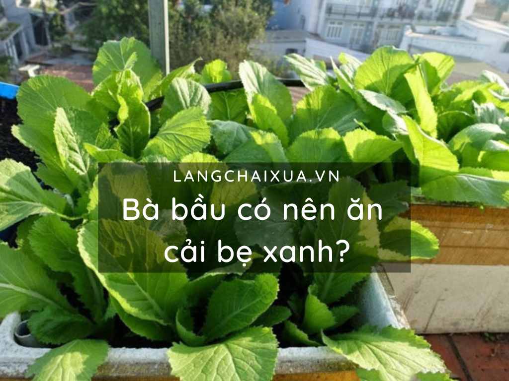 ba bau co nen an cai be xanh 5