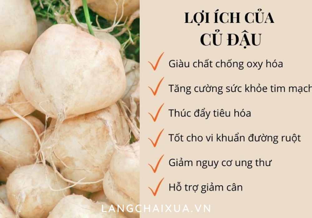 ba bau co nen an cu dau bo sung chat dinh duong loi ich cua cu dau voi ba bau 6