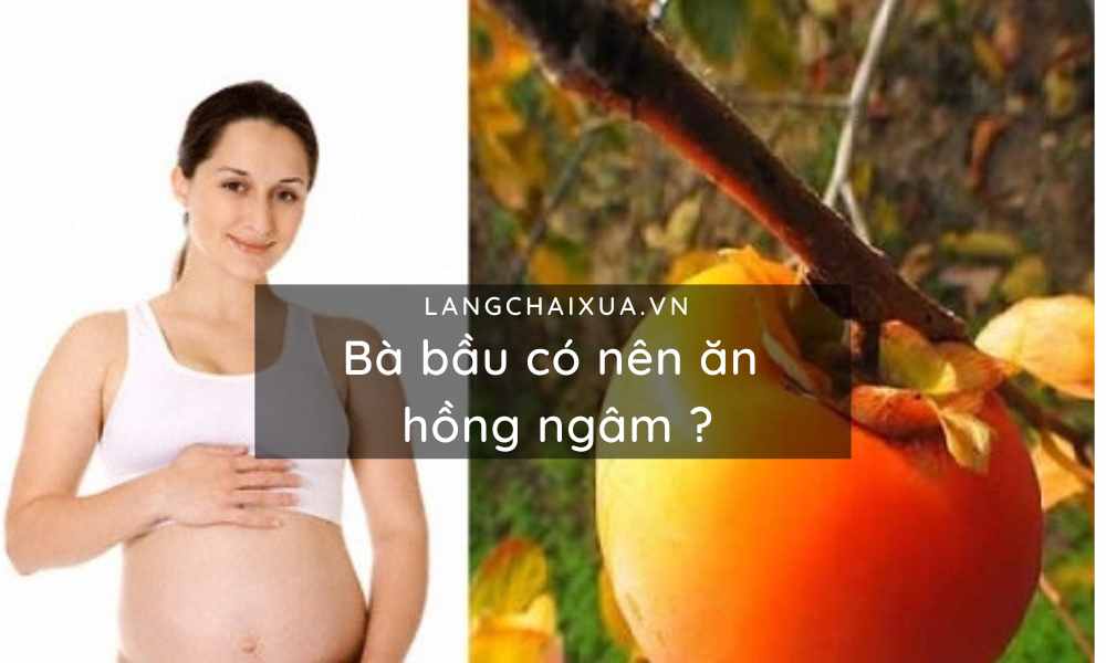 ba bau co nen an hong ngam loi ich cua hong ngam voi thai nhi 1