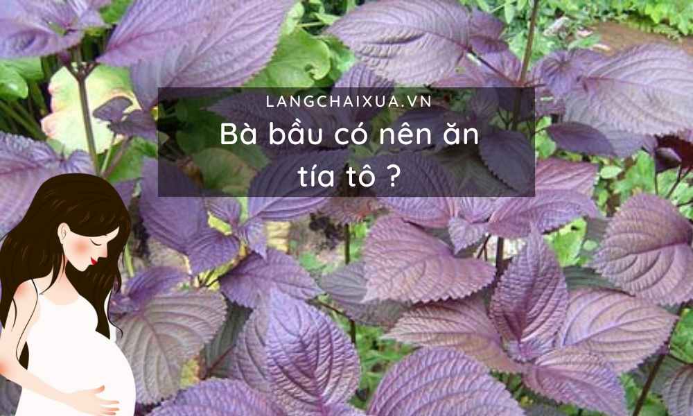 ba bau co nen an la tia to an la tia to dung cach cho me 3