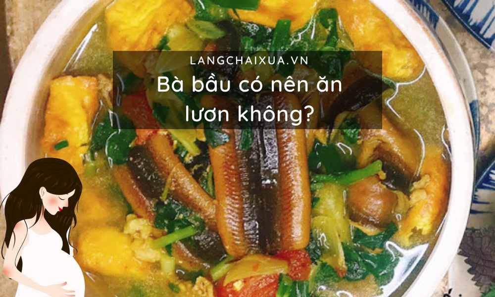 ba bau co nen an luon diem danh 6 loi ich ma luon mang lai 8