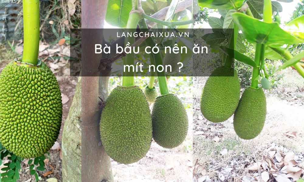 ba bau co nen an mit non an nhieu co anh huong den thai nhi 1