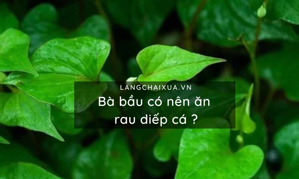 ba bau co nen an rau diep ca loi ich bat ngo ma me chua he biet 5