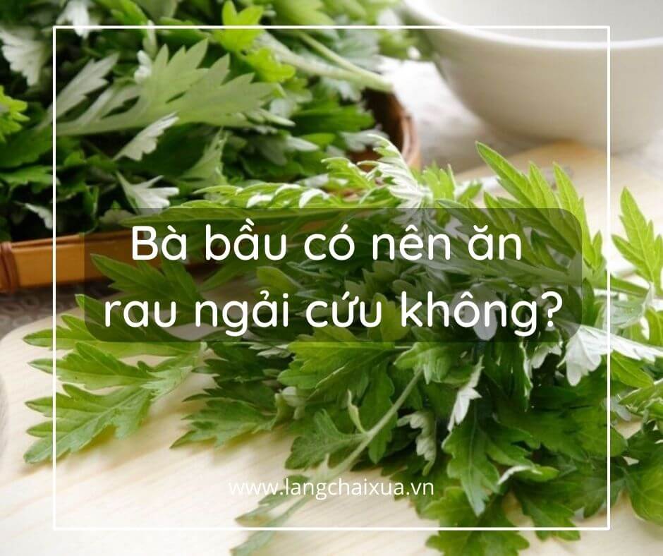 ba bau co nen an rau ngai cuu khong 3 cong dung tuyet voi cua ngai cuu 2