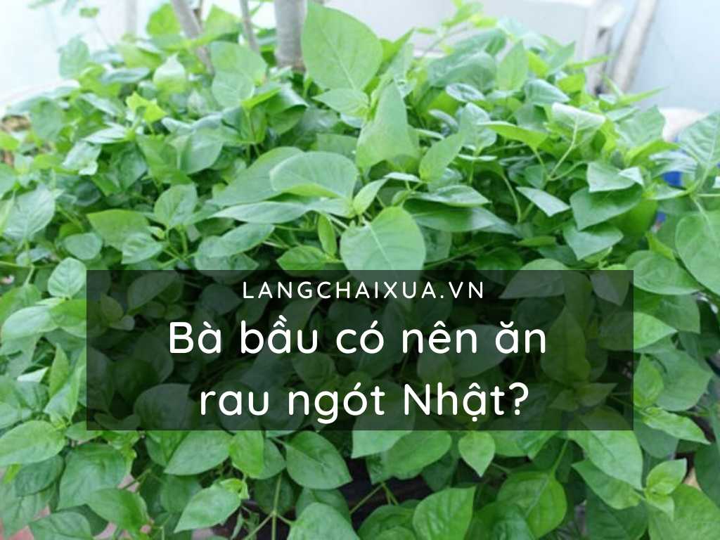 ba bau co nen an rau ngot nhat loai rau me can can nhac khi dung 2