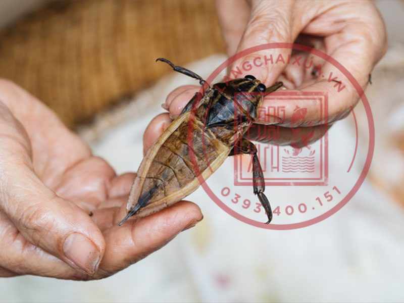 nuoc mam ca cuong mot loai nuoc cham khong phai ai cung biet 1